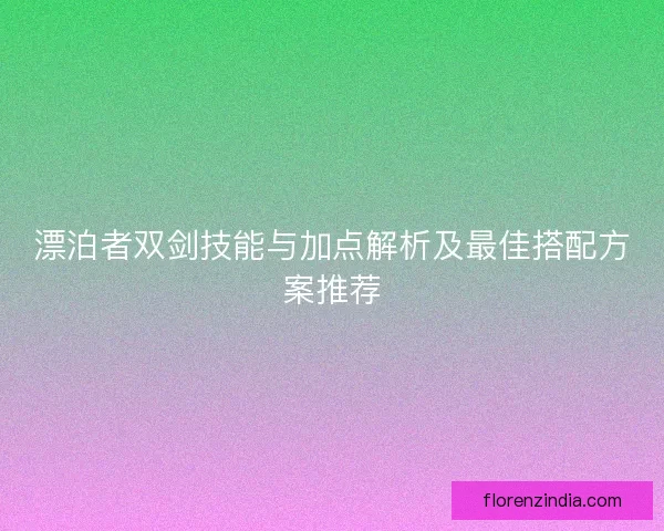漂泊者双剑技能与加点解析及最佳搭配方案推荐