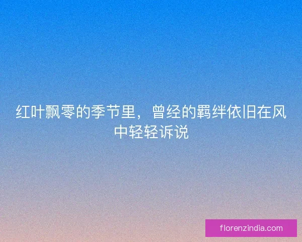 红叶飘零的季节里，曾经的羁绊依旧在风中轻轻诉说