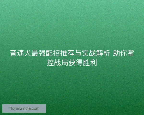 音速犬最强配招推荐与实战解析 助你掌控战局获得胜利
