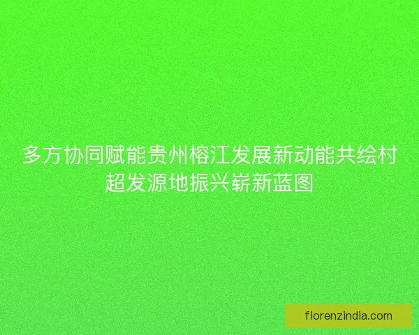 多方协同赋能贵州榕江发展新动能共绘村超发源地振兴崭新蓝图