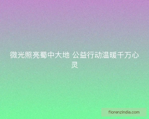 微光照亮蜀中大地 公益行动温暖千万心灵