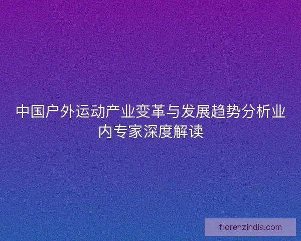 中国户外运动产业变革与发展趋势分析业内专家深度解读
