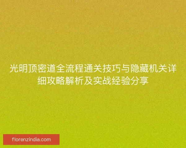 光明顶密道全流程通关技巧与隐藏机关详细攻略解析及实战经验分享