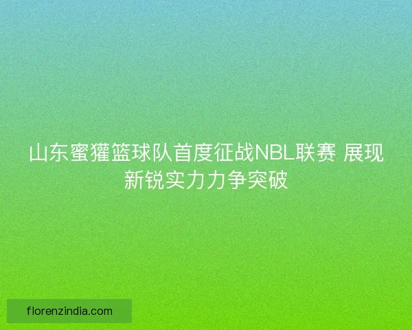 山东蜜獾篮球队首度征战NBL联赛 展现新锐实力力争突破